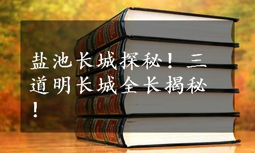 盐池长城探秘！三道明长城全长揭秘！