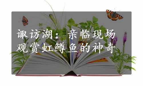 诹访湖：亲临现场观赏虹鳟鱼的神奇