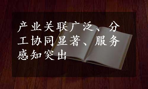 产业关联广泛、分工协同显著、服务感知突出