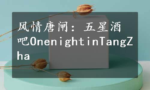 风情唐闸：五星酒吧OnenightinTangZha