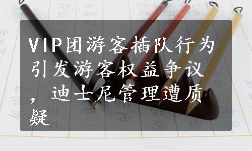 VIP团游客插队行为引发游客权益争议，迪士尼管理遭质疑