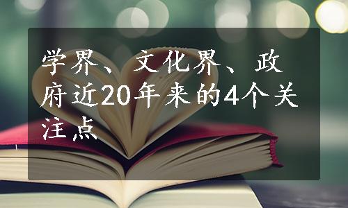 学界、文化界、政府近20年来的4个关注点