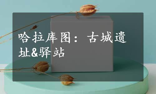 哈拉库图：古城遗址&驿站