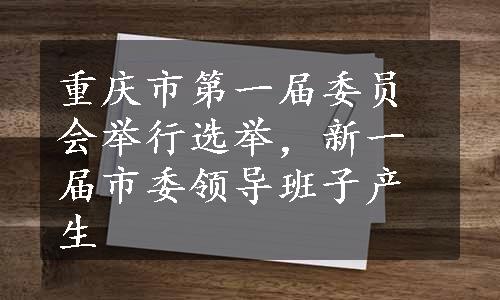 重庆市第一届委员会举行选举，新一届市委领导班子产生