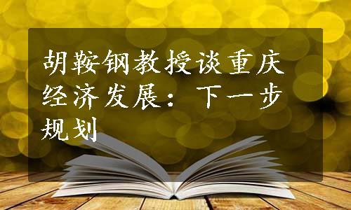 胡鞍钢教授谈重庆经济发展：下一步规划