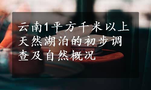 云南1平方千米以上天然湖泊的初步调查及自然概况