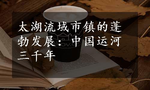 太湖流域市镇的蓬勃发展：中国运河三千年