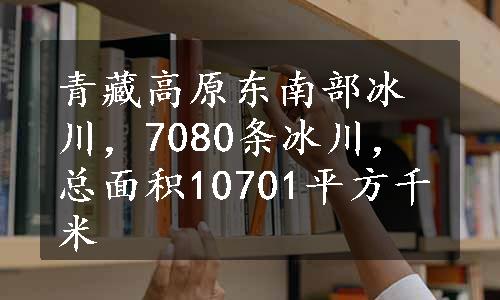 青藏高原东南部冰川，7080条冰川，总面积10701平方千米