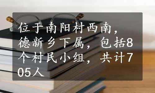 位于南阳村西南，德新乡下属，包括8个村民小组，共计705人