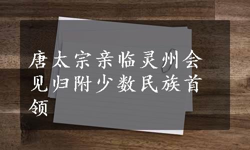 唐太宗亲临灵州会见归附少数民族首领