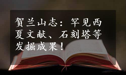 贺兰山志：罕见西夏文献、石刻塔等发掘成果！