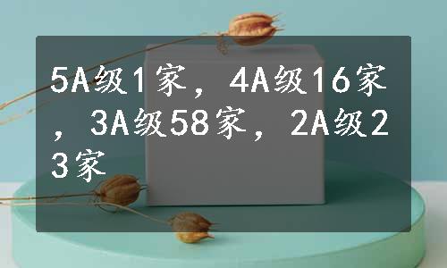 5A级1家，4A级16家，3A级58家，2A级23家