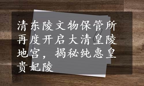 清东陵文物保管所再度开启大清皇陵地宫，揭秘纯惠皇贵妃陵