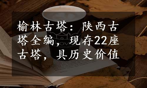 榆林古塔：陕西古塔全编，现存22座古塔，具历史价值