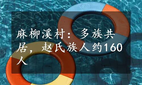 麻柳溪村：多族共居，赵氏族人约160人