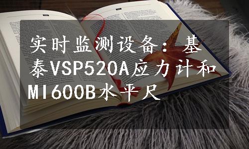 实时监测设备：基泰VSP520A应力计和MI600B水平尺