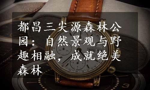 都昌三尖源森林公园：自然景观与野趣相融，成就绝美森林