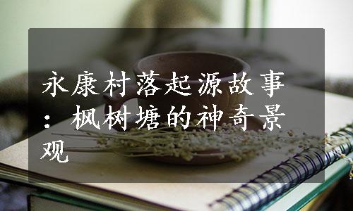 永康村落起源故事：枫树塘的神奇景观