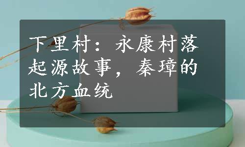 下里村：永康村落起源故事，秦璋的北方血统