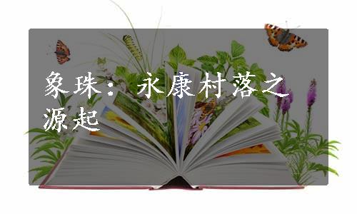 象珠：永康村落之源起