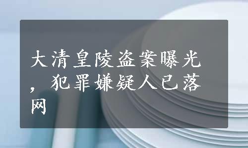 大清皇陵盗案曝光，犯罪嫌疑人已落网