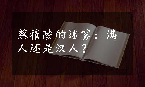 慈禧陵的迷雾：满人还是汉人？