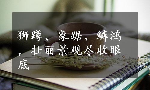 狮蹲、象踞、鳞鸿，壮丽景观尽收眼底