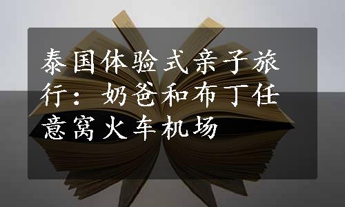 泰国体验式亲子旅行：奶爸和布丁任意窝火车机场