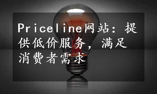 Priceline网站：提供低价服务，满足消费者需求