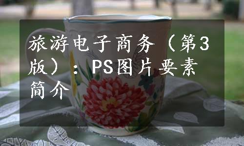 旅游电子商务（第3版）：PS图片要素简介