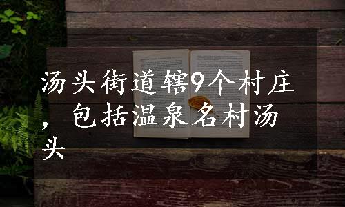 汤头街道辖9个村庄，包括温泉名村汤头