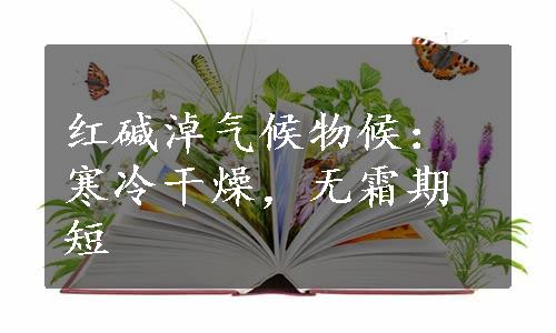 红碱淖气候物候：寒冷干燥，无霜期短