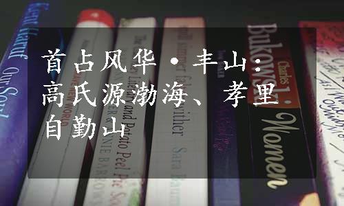 首占风华·丰山：高氏源渤海、孝里自勤山