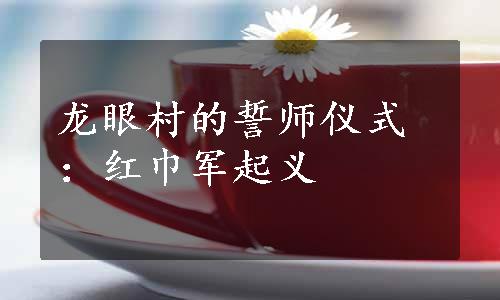 龙眼村的誓师仪式：红巾军起义