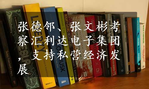 张德邻、张文彬考察汇利达电子集团，支持私营经济发展