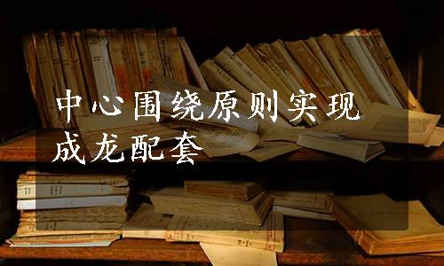 中心围绕原则实现成龙配套