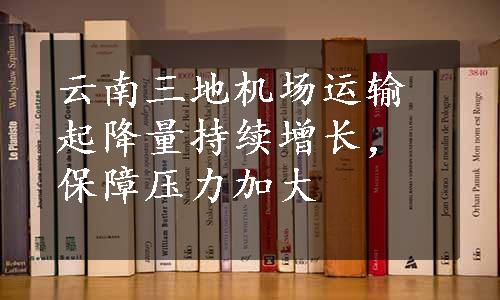 云南三地机场运输起降量持续增长，保障压力加大