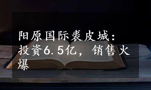 阳原国际裘皮城：投资6.5亿，销售火爆