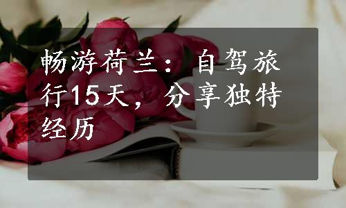 畅游荷兰：自驾旅行15天，分享独特经历