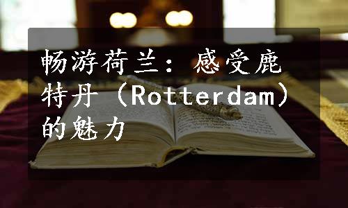 畅游荷兰：感受鹿特丹（Rotterdam）的魅力