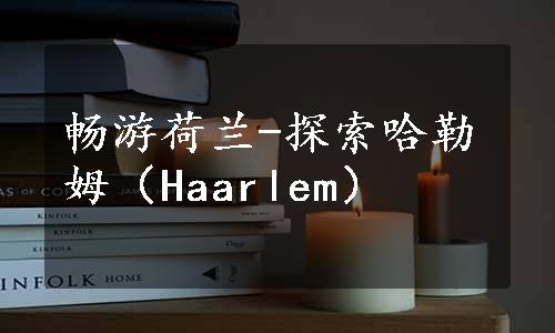 畅游荷兰-探索哈勒姆（Haarlem）