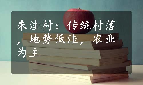 朱洼村：传统村落，地势低洼，农业为主