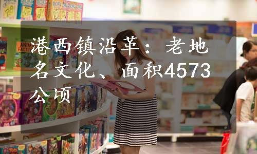 港西镇沿革：老地名文化、面积4573公顷