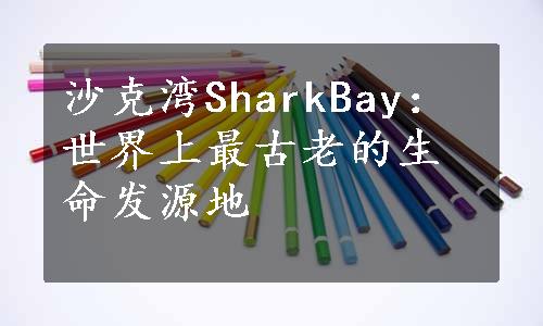 沙克湾SharkBay：世界上最古老的生命发源地