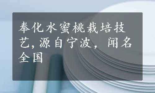 奉化水蜜桃栽培技艺,源自宁波，闻名全国