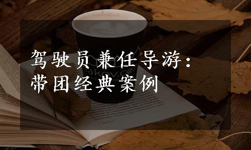 驾驶员兼任导游：带团经典案例