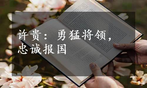 许贵：勇猛将领，忠诚报国