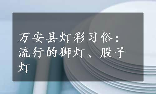 万安县灯彩习俗：流行的狮灯、股子灯