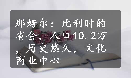 那姆尔：比利时的省会，人口10.2万，历史悠久，文化商业中心