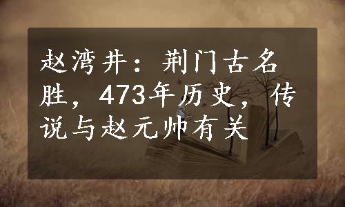 赵湾井：荆门古名胜，473年历史，传说与赵元帅有关